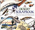 Desert Scrapbook Dawn To Dust In The Sonoran Desert