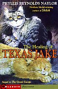 Healing Of Texas Jake Aladdin Fiction