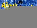 Animals & The Ark
