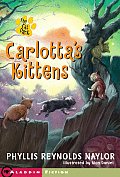 Carlottas Kittens