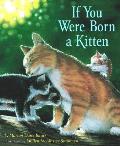 If You Were Born A Kitten Board Book