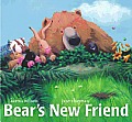 Bears New Friend