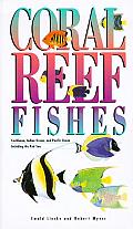 Coral Reef Fishes Caribbean Indian Ocean