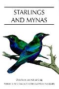 Starlings & Mynas