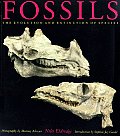 Fossils The Evolution & Extinction of Species