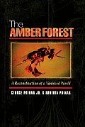 Amber Forest A Reconstruction Of A Vanis