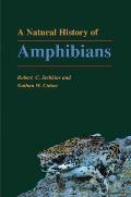 Natural History Of Amphibians
