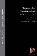 Understanding Interdependence: The Macroeconomics of the Open Economy