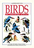 Illustrated Guide To The Birds Of Southern Africa