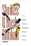 Shrikes & Bush Shrikes Including Wood Shrikes Helmet Shrikes Flycatcher Shrikes Philentomas Batises & Wattle Eyes