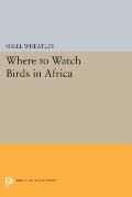 Where To Watch Birds In Africa