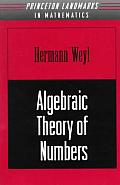 Algebraic Theory Of Numbers