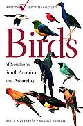 Birds of Southern South America & Antarctica