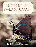 Butterflies of the East Coast An Observers Guide