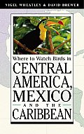 Where To Watch Birds In Central America