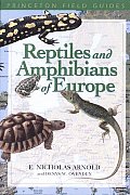 Reptiles & Amphibians Of Europe