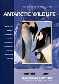 Complete Guide To Antarctic Wildlife Birds &
