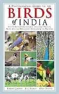Photographic Guide to the Birds of India & the Indian Subcontinent Including Pakistan Nepal Bhutan Bangladesh Sri Lanka & the Maldives