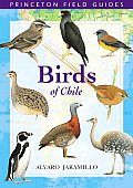 Birds Of Chile