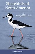 Shorebirds of North America The Photographic Guide