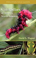 Princeton Field Guides||||Caterpillars of Eastern North America
