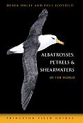 Albatrosses Petrels & Shearwaters of the World