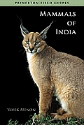 Mammals Of India