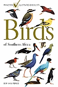 Birds of Southern Africa: