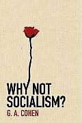 Why Not Socialism