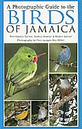 Photographic Guide To The Birds Of Jamaica