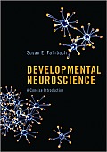 Developmental Neuroscience: A Concise Introduction