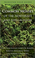 Common Mosses of the Northeast & Appalachians