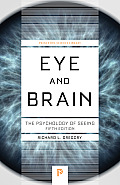 Eye and Brain