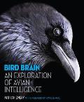 Bird Brain An Exploration of Avian Intelligence