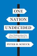 One Nation Undecided: Clear Thinking about Five Hard Issues That Divide Us