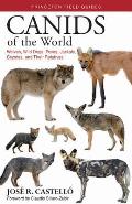 Canids of the World Wolves Wild Dogs Foxes Jackals Coyotes & Their Relatives