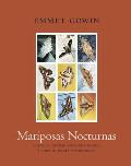 Mariposas Nocturnas Moths of Central & South America A Study in Beauty & Diversity