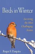 Birds in Winter Surviving the Most Challenging Season