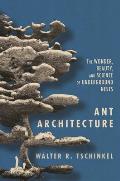 Ant Architecture The Wonder Beauty & Science of Underground Nests