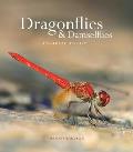 Dragonflies & Damselflies A Natural History