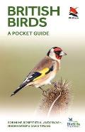 British Birds A Pocket Guide