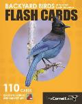 Backyard Birds Flash Cards Western North America