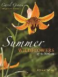 Summer Wildflowers of the Northeast A Natural History