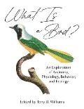 What Is a Bird An Exploration of Anatomy Physiology Behavior & Ecology