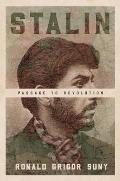 Stalin Passage to Revolution