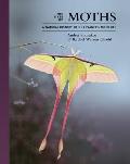 Lives of Moths A Natural History of Our Planets Moth Life
