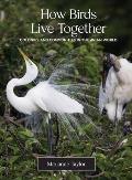 How Birds Live Together Colonies & Communities in the Avian World