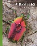 Lives of Beetles A Natural History of Coleoptera