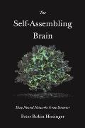 Self Assembling Brain How Neural Networks Grow Smarter
