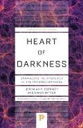 Heart of Darkness: Unraveling the Mysteries of the Invisible Universe
